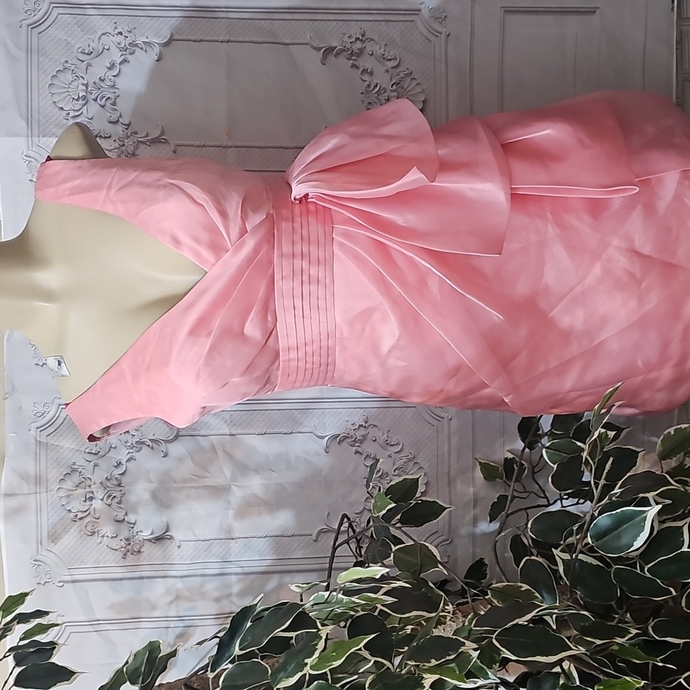 Max and Cleo Pink Sleeveless Dress with Bow and Pleats 6